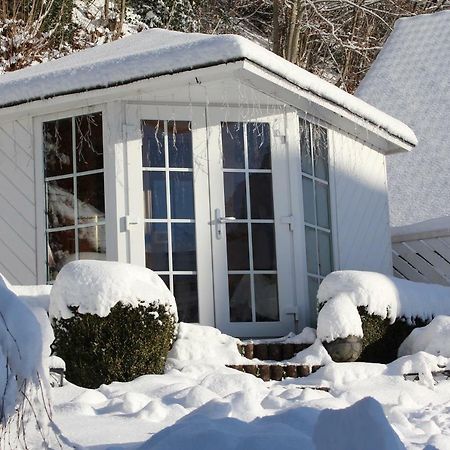 Апартаменты Haus Laetsch Бад-Петерсталь-Грисбах Экстерьер фото