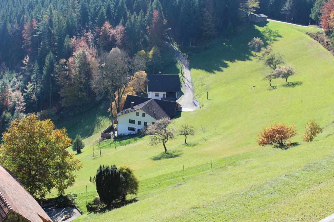 Апартаменты Haus Laetsch Бад-Петерсталь-Грисбах Экстерьер фото